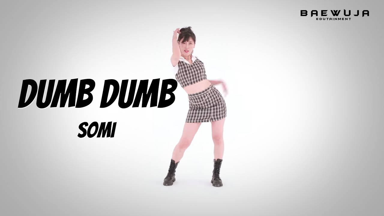 Dumb Dumb - SOMI